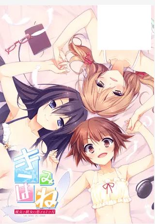 [PC-ADV游戏] 【ADV/STEAM官中/新作】君羽 / きみはね 彼女と彼女の恋する１ヶ月 多国語版[A013777]【1G/度盘】-开心广场