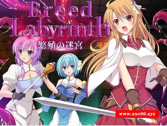 [PC-RPG游戏] 【RPG/机翻】Breed Labyrinth -繁殖の迷宮-【1G/度盘】[A089149]-开心广场